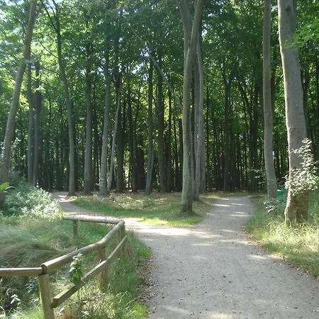 Ferienobjekt Mueritz A13 Graal-Mueritz